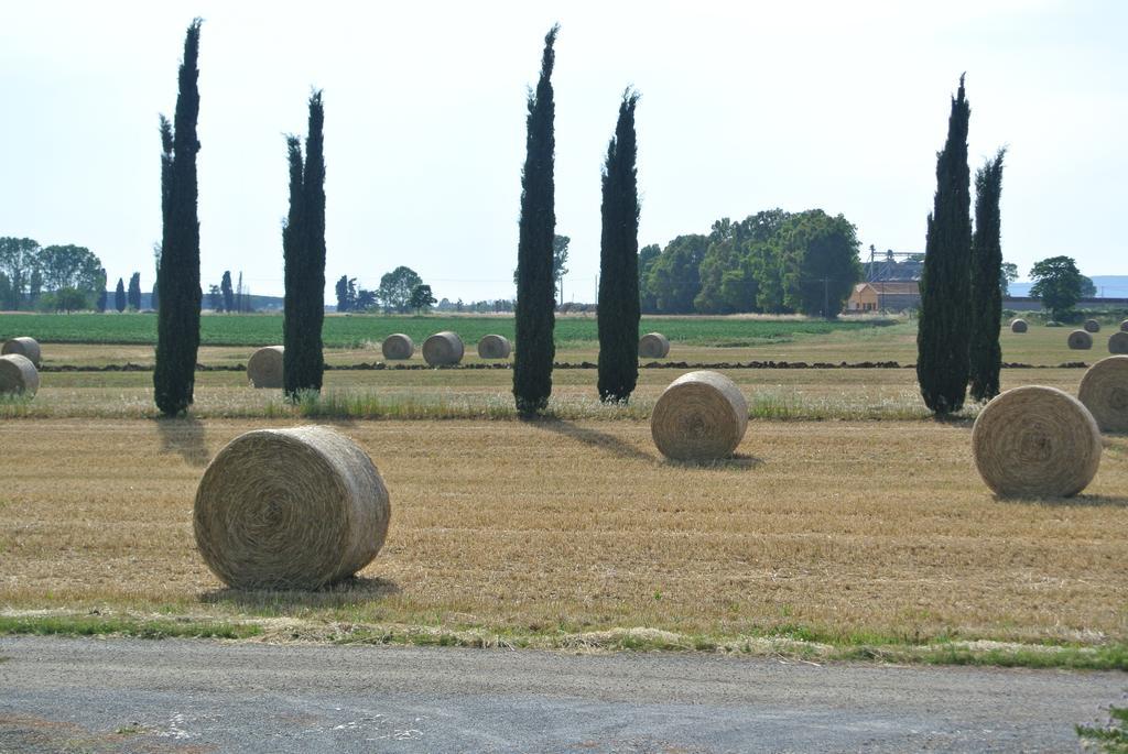 Poggio Campana