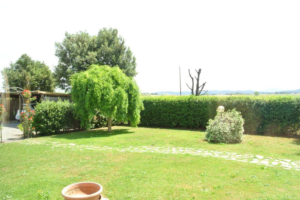 Poggio Campana * San Donato (Tuscany)
